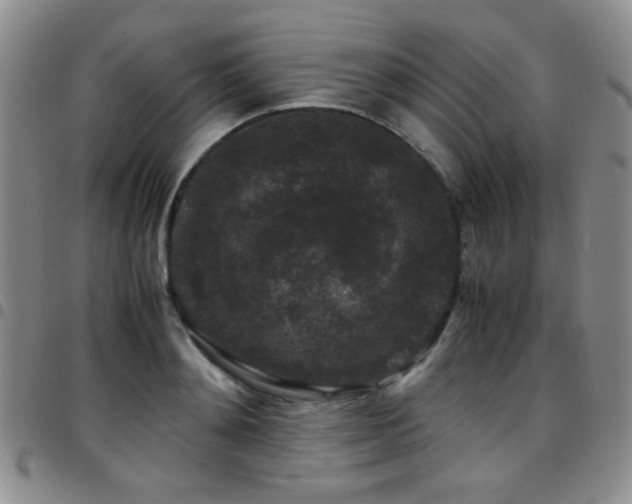 X0000097820892200803141138