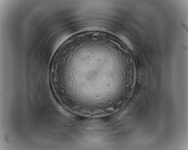 X0000097820895200803141138