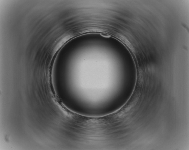 X0000097820898200803141138