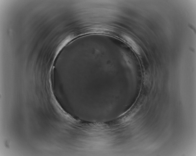 X0000097820899200803141138