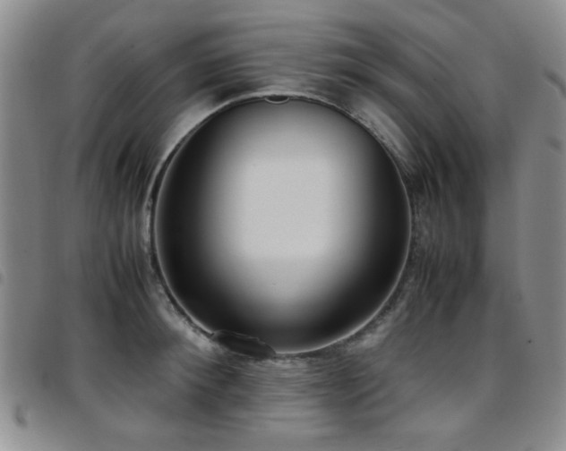 X0000097820900200803141138