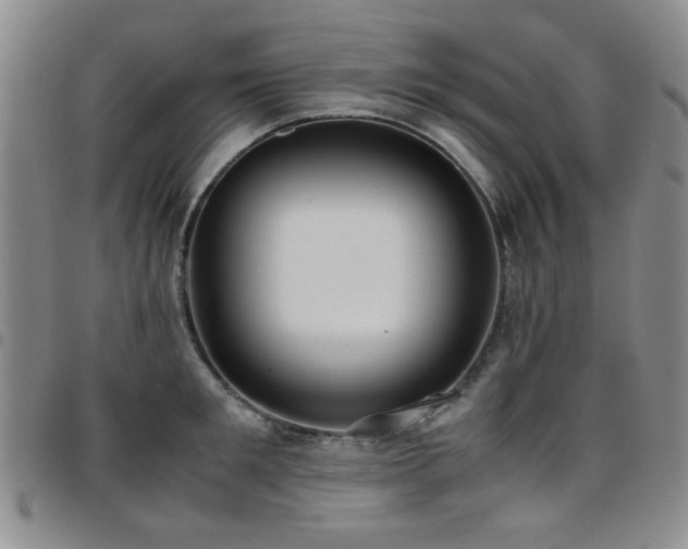 X0000097820901200803141138