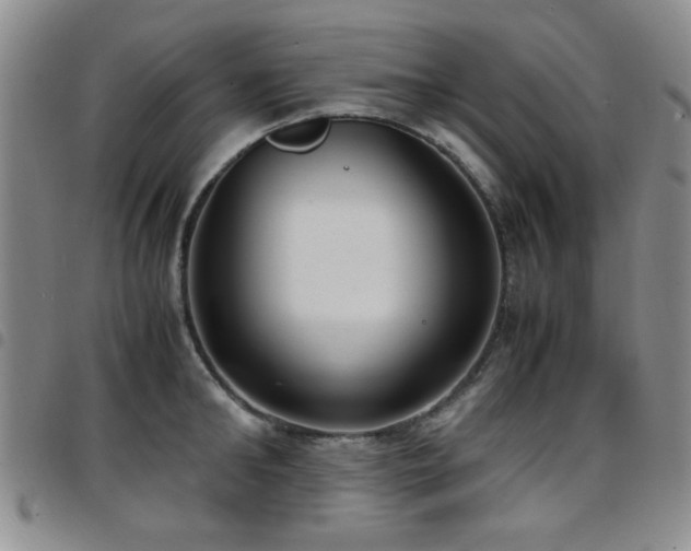 X0000097820902200803141138