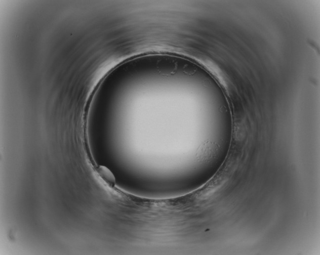 X0000097820903200803141138