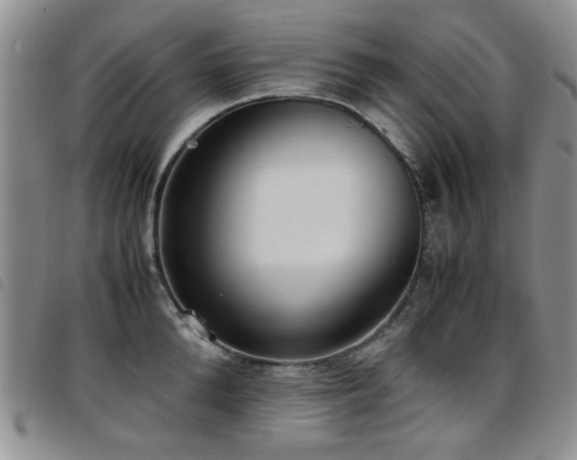 X0000097820904200803141138