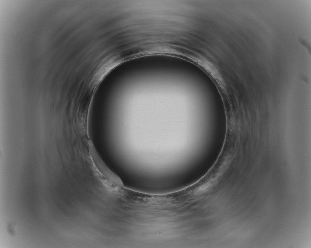 X0000097820905200803141138