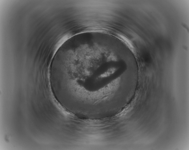 X0000097820907200803141138