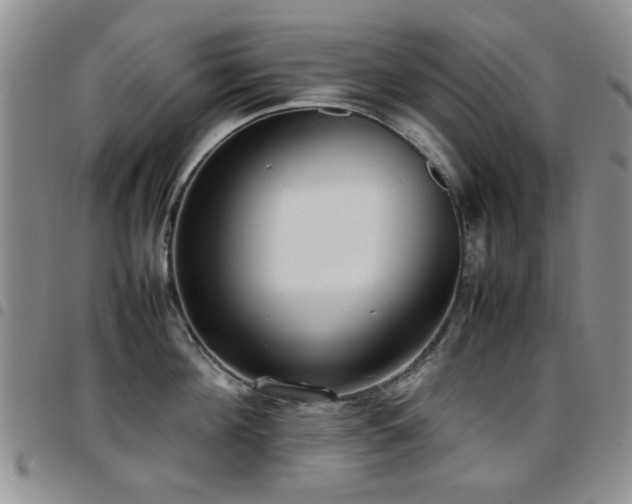 X0000097820908200803141137