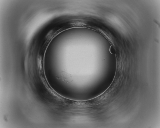 X0000097820911200803141137