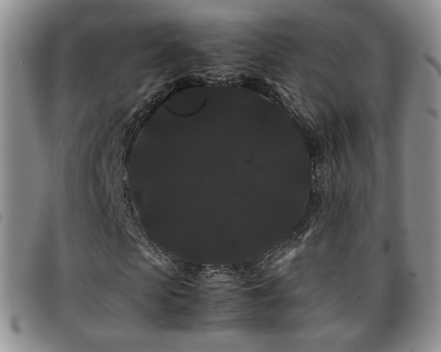 X0000097820913200803141137