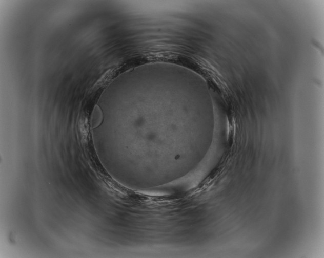 X0000097820915200803141137