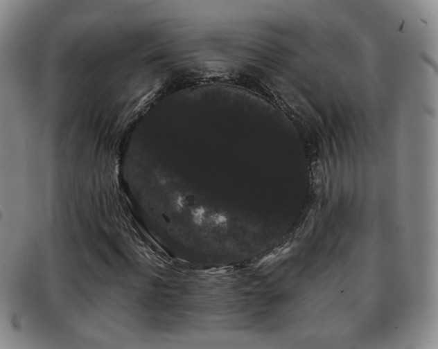 X0000097820916200803141137