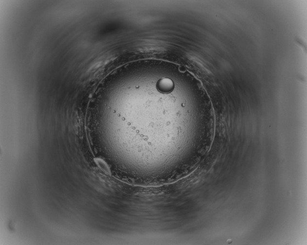 X0000097820917200803141137