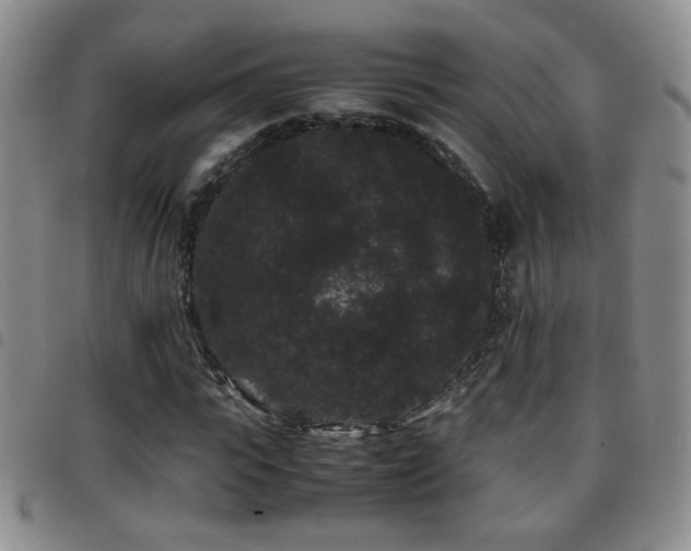 X0000097820919200803141137