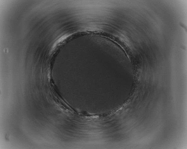 X0000097820920200803141137