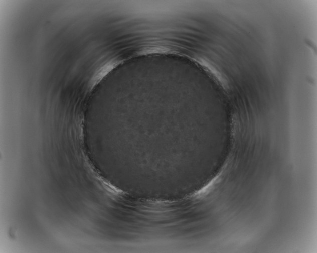 X0000097820921200803141137