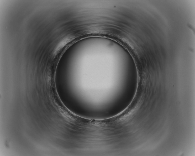 X0000097820922200803141137