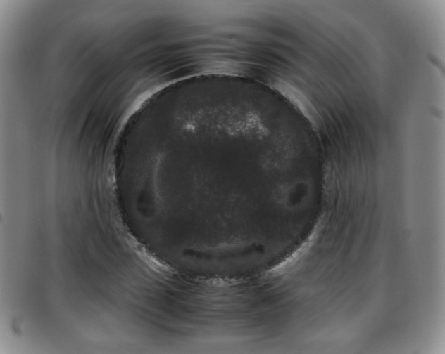 X0000097820923200803141137