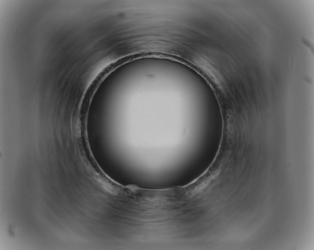 X0000097820924200803141137