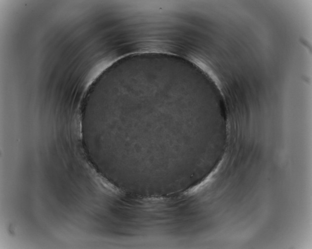 X0000097820925200803141137