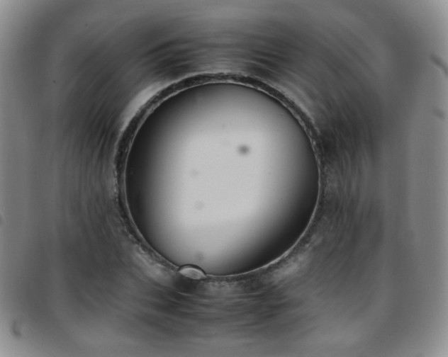 X0000097820927200803141137