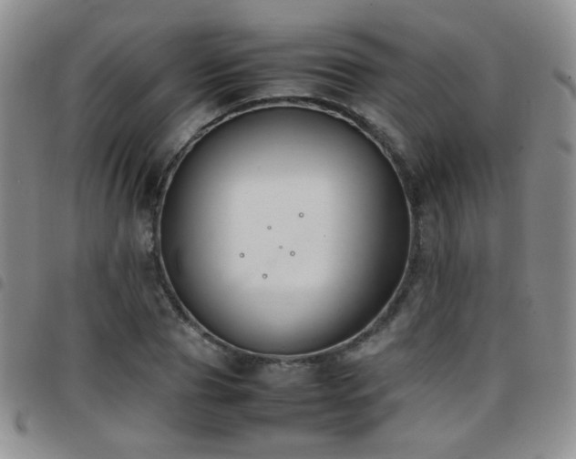 X0000097820929200803141137