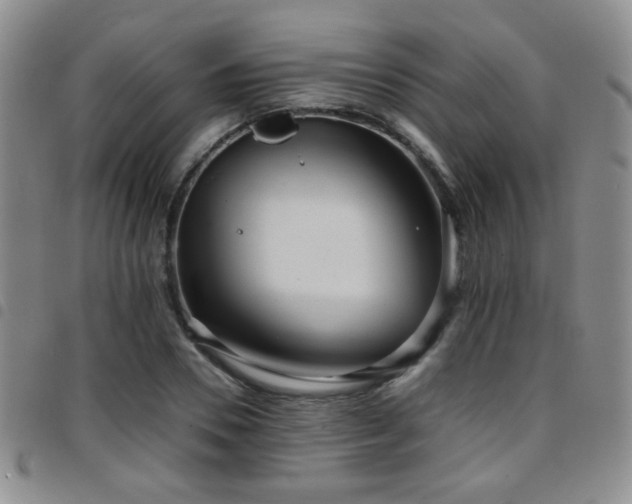 X0000097820930200803141137