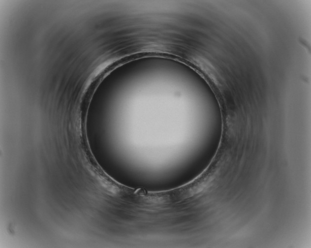 X0000097820931200803141137