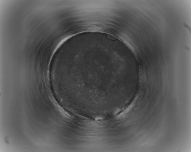 X0000097820932200803141137