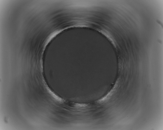 X0000097820935200803141137