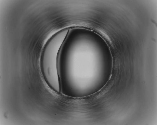 X0000097820936200803141137