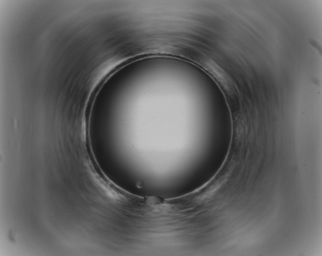 X0000097820940200803141137