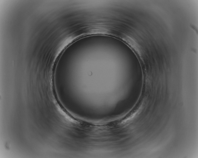 X0000097820941200803141137