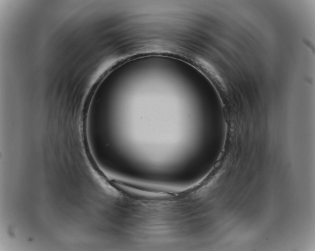 X0000097820942200803141137