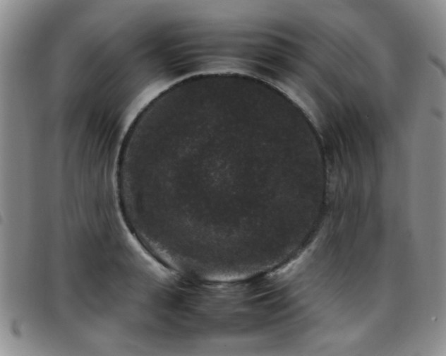 X0000097820943200803141137