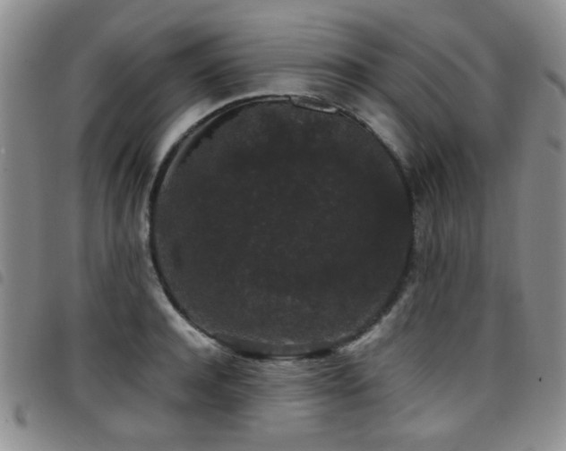 X0000097820944200803141137