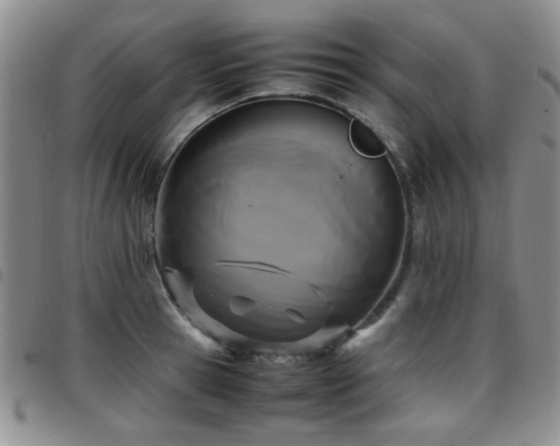 X0000097820945200803141137