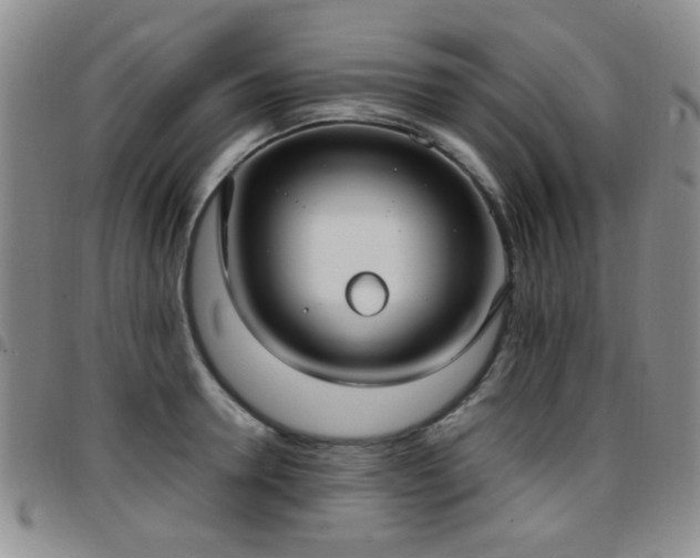 X0000097820946200803141137