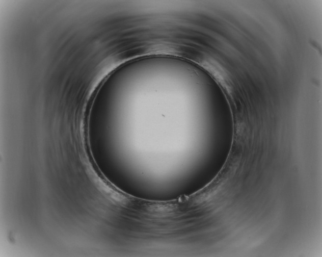 X0000097820947200803141137