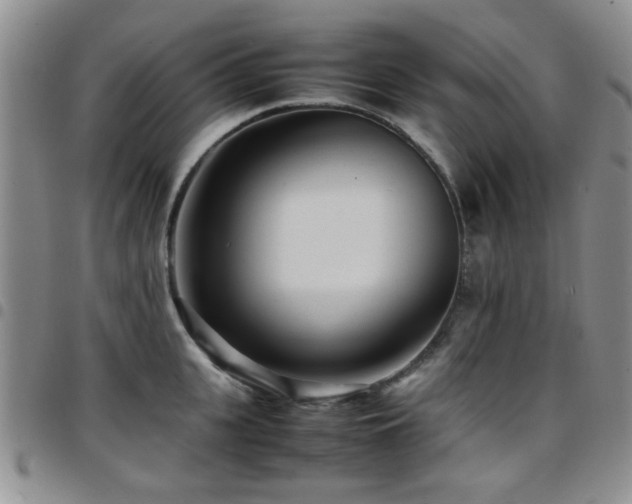 X0000097820951200803141137