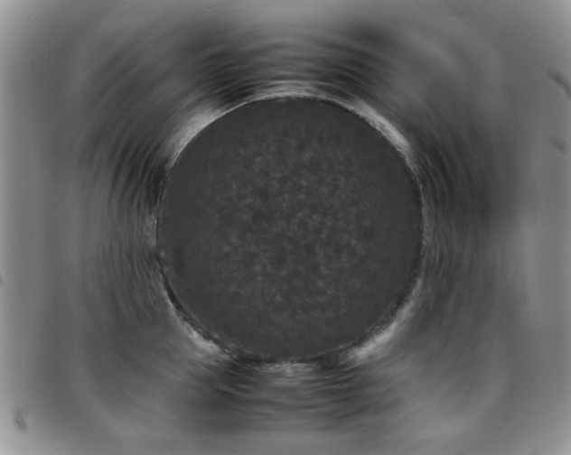 X0000097820953200803141137