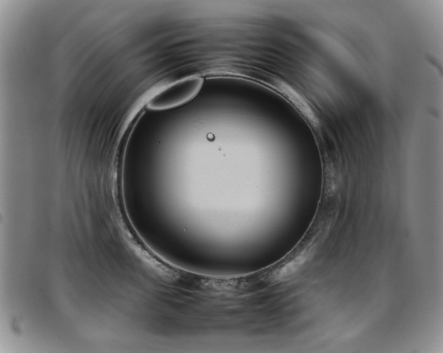 X0000097820955200803141137