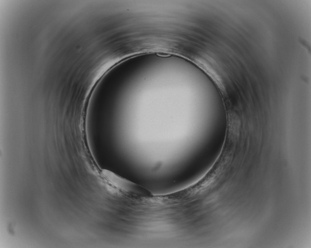 X0000097820956200803141137