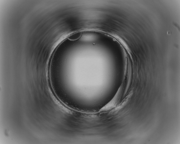 X0000097820957200803141137