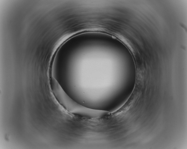 X0000097820959200803141137