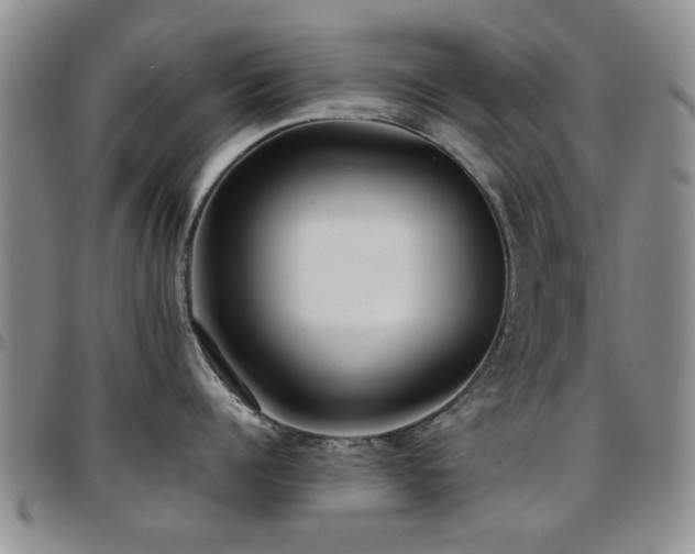 X0000097820960200803141137