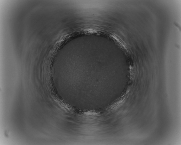 X0000097820961200803141137