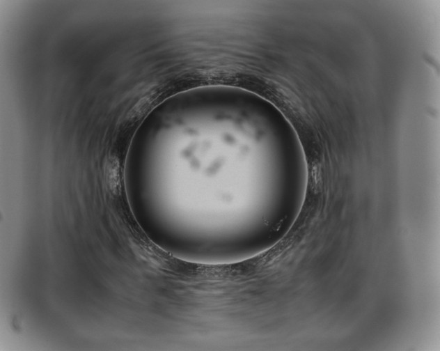 X0000097820963200803141137