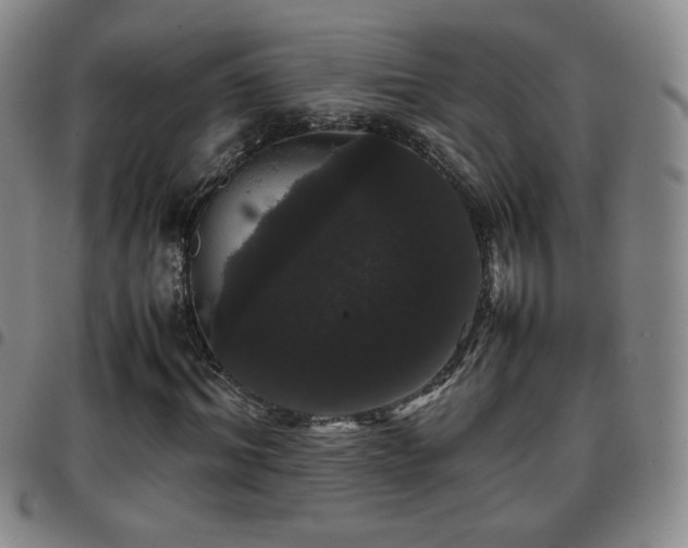 X0000097820964200803141137