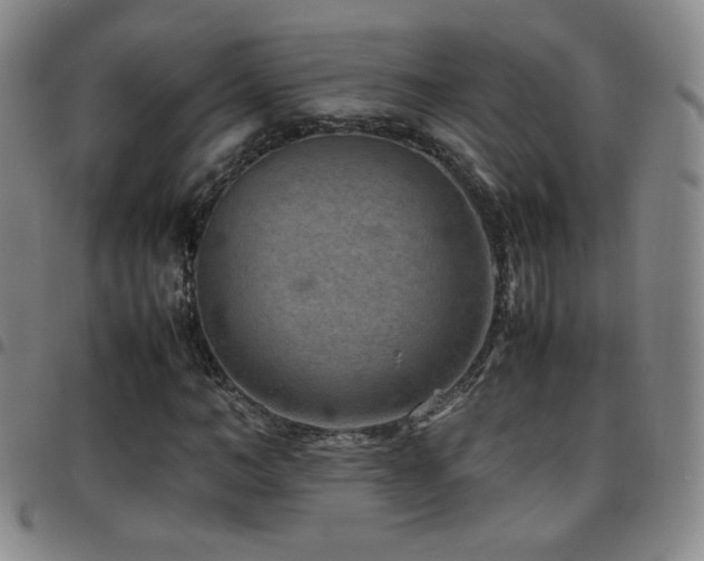 X0000097820966200803141137